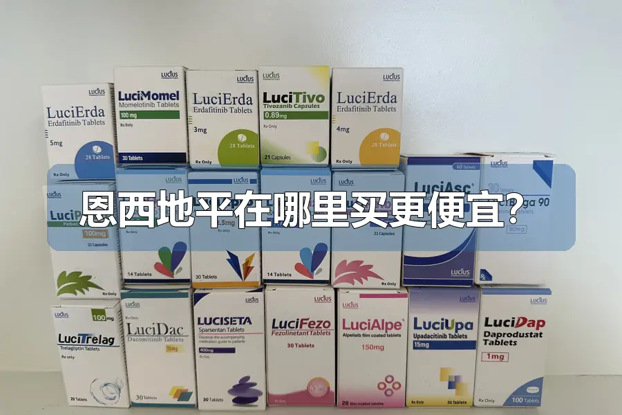 恩西地平在哪里买更便宜?